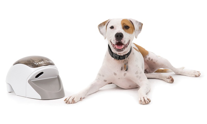 PetSafe Treat & Train Remote Dog Trainer