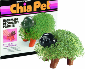 Chia Pet by Joe Pedott