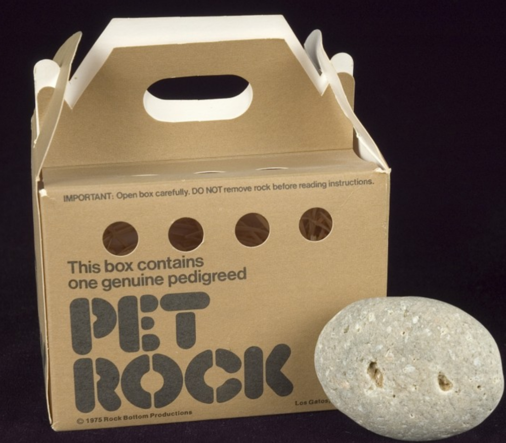 Pet Rock. Pet Rock инструкция. USB Pet Rock. Камень питомец инструкция.