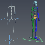 3D skeletal rigging