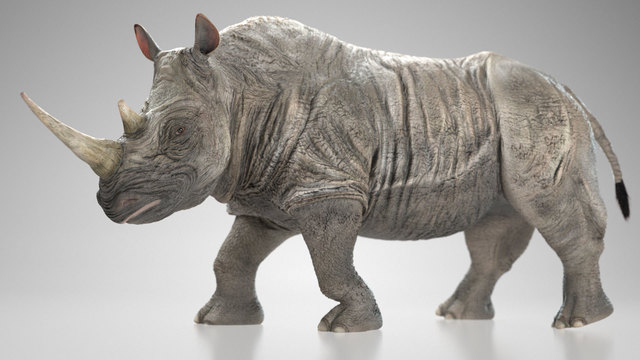 Rhino-by-Chromatophore3d