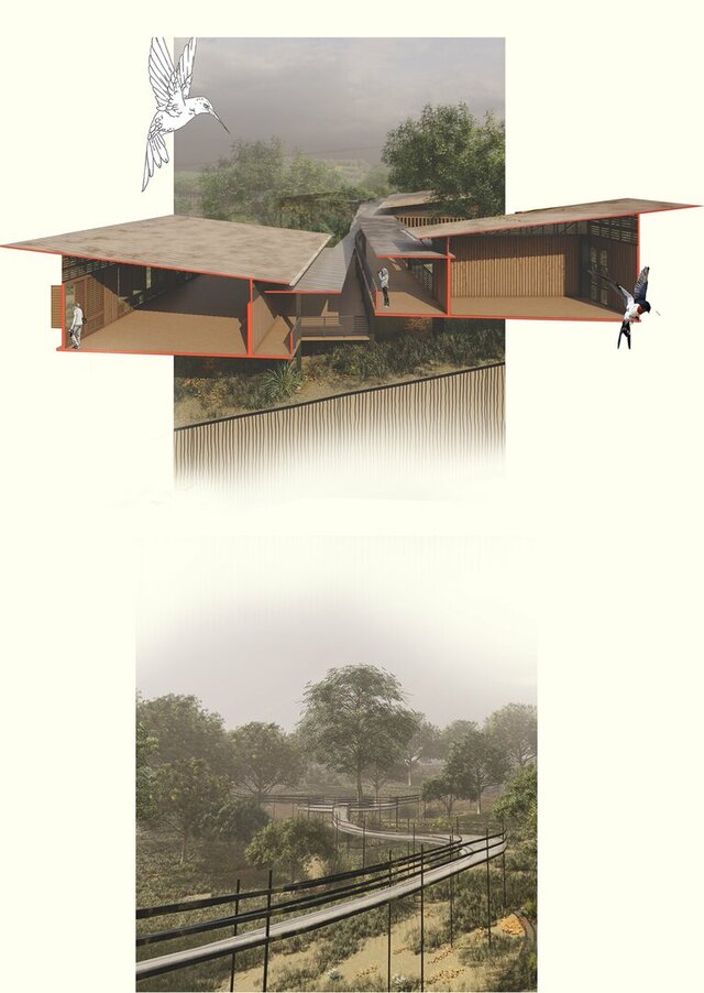 Forest interpretation And research center (thesis Project)