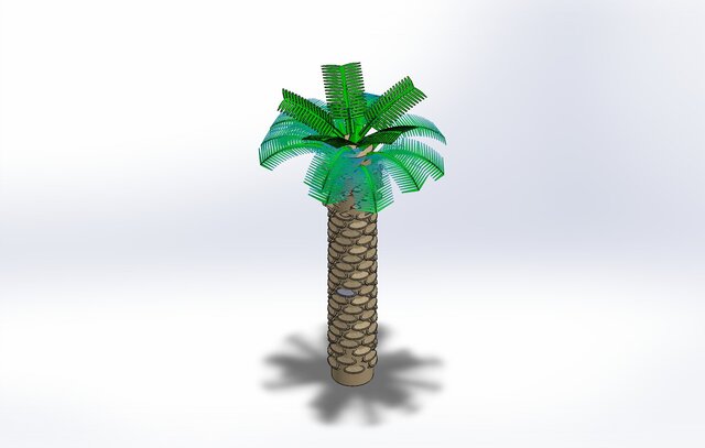 palm tree